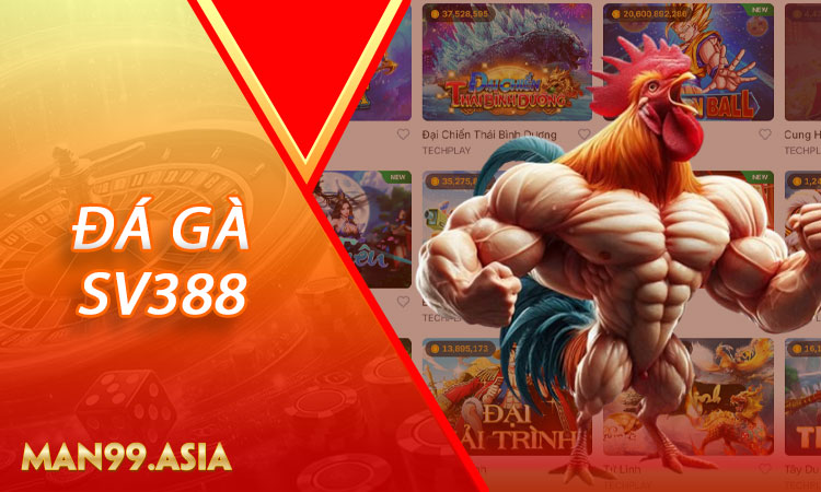 Đá Gà SV388